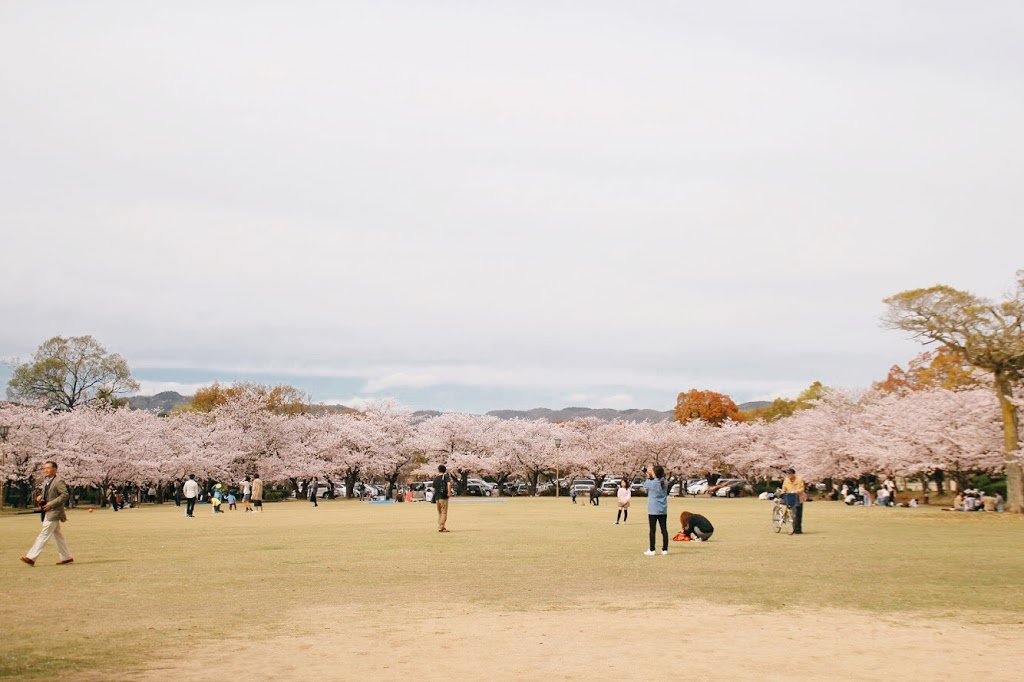 東御屋敷跡公園和櫻花